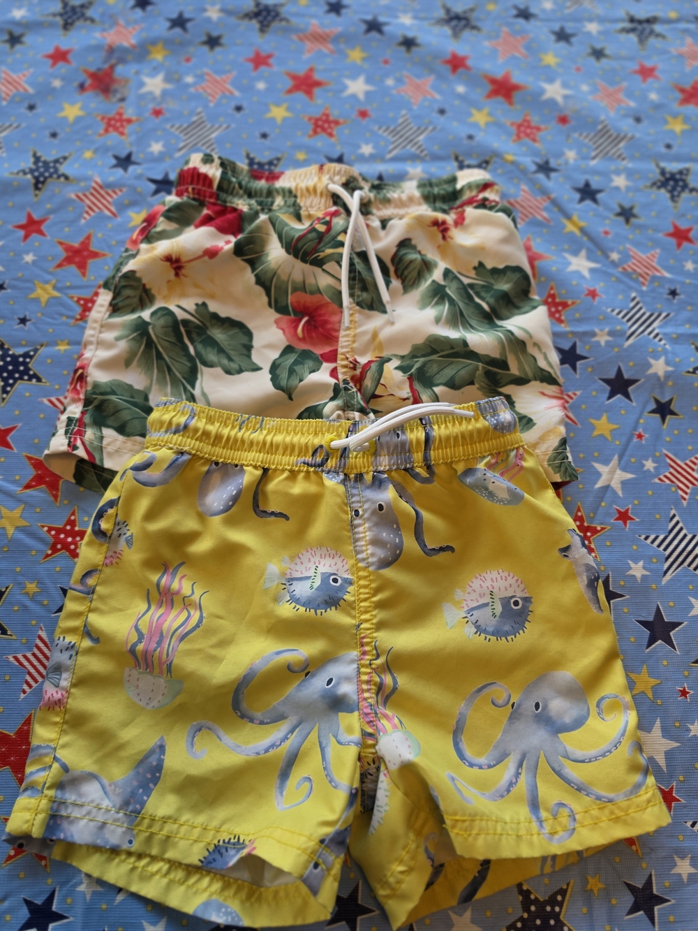 Janie And Jack Toddler Swim Shorts - 2 Pairs + Free Swim Top (Size 2T)